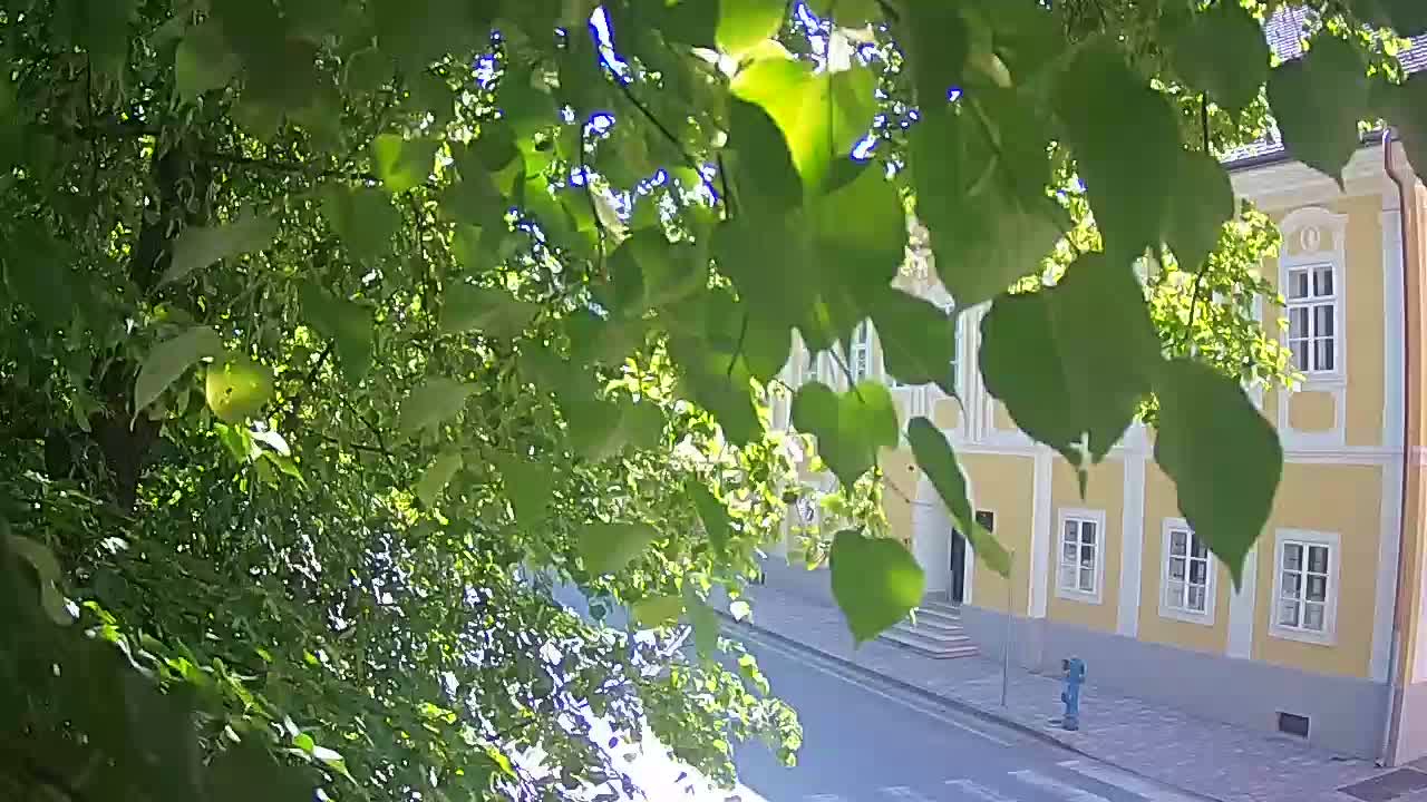 Live webcam Petrinja central park – after the earthquake