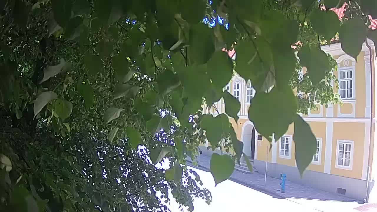 Webcam en vivo parque Petrinja – después del terremoto