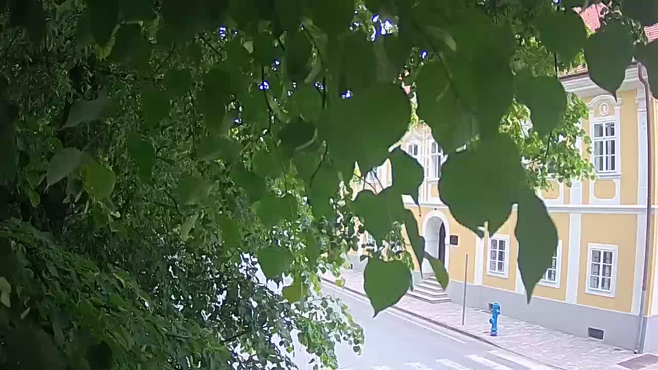 Live webcam Petrinja central park – after the earthquake