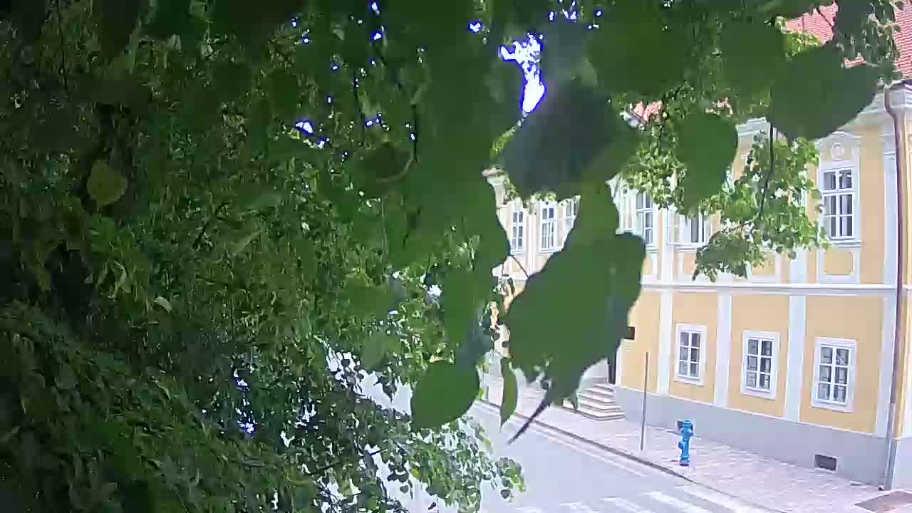 Webcam en direct du parc Petrinja – après le tremblement de terre