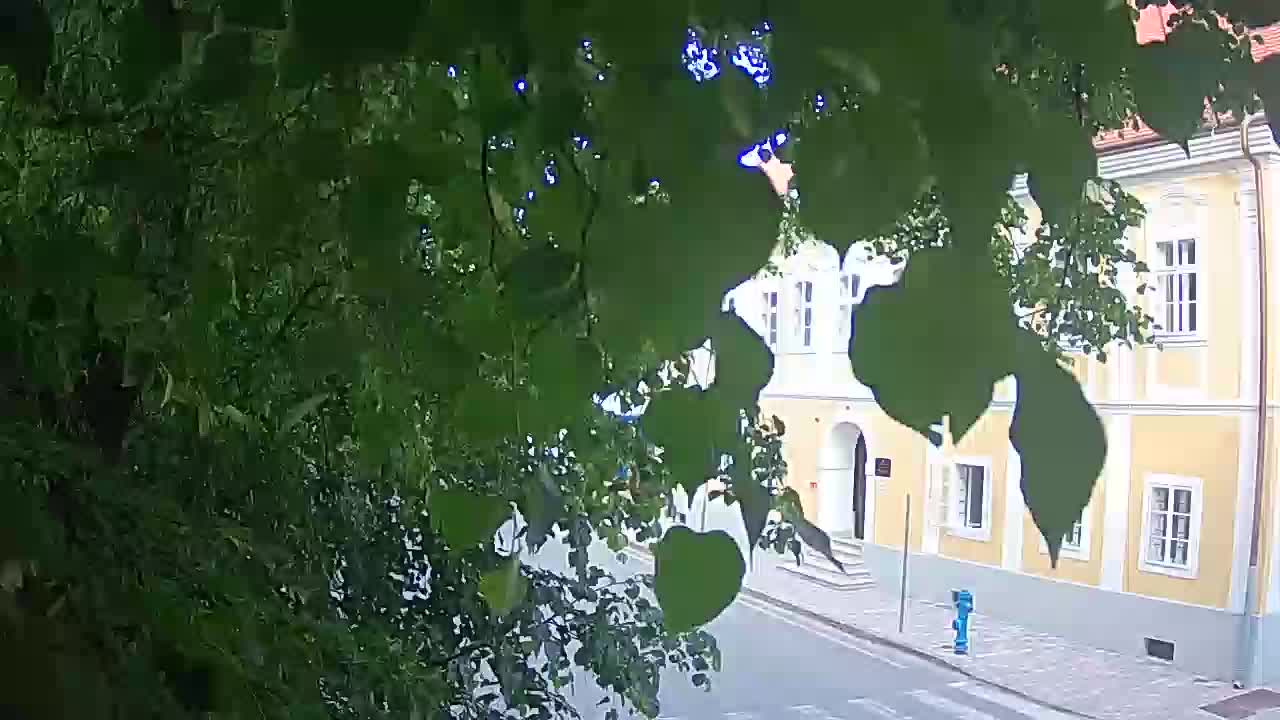 Webcam en vivo parque Petrinja – después del terremoto