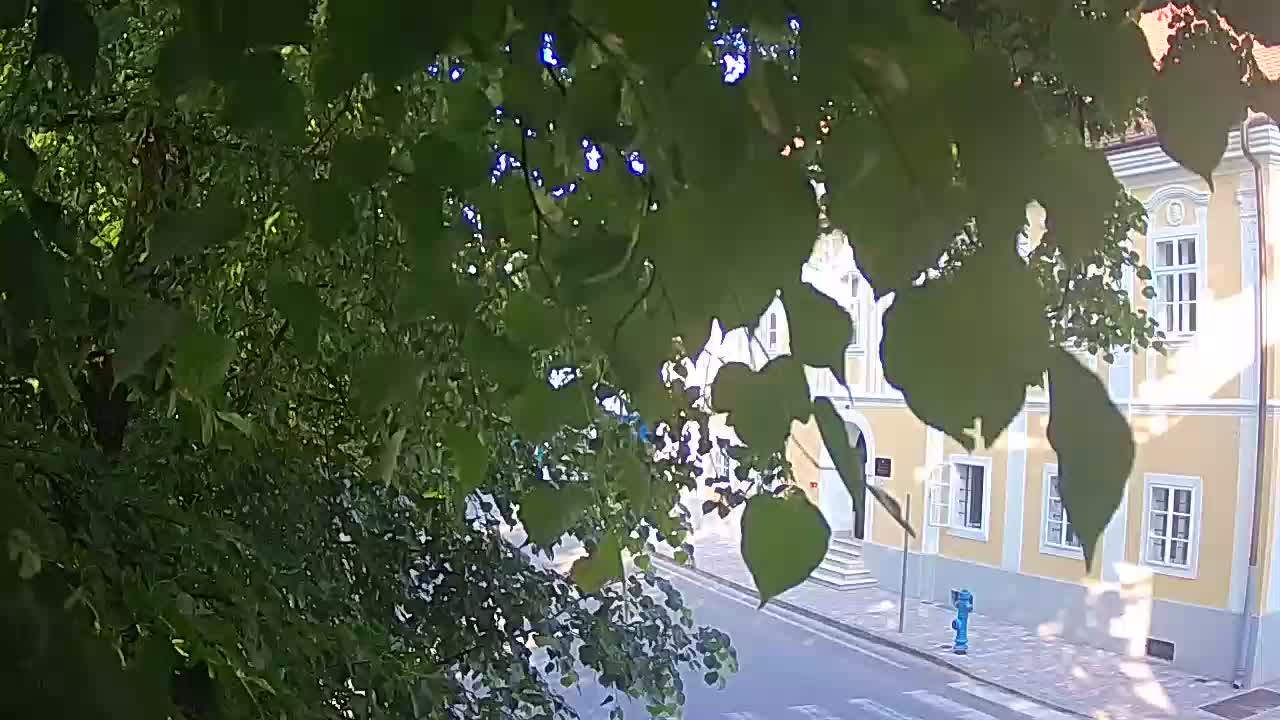 Web kamera uživo Petrinja centralni park – nakon potresa