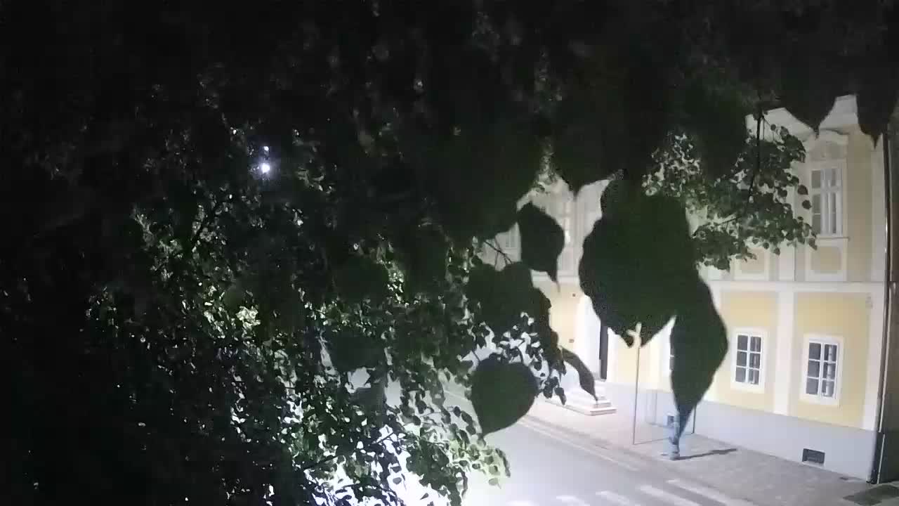 Webcam en vivo parque Petrinja – después del terremoto