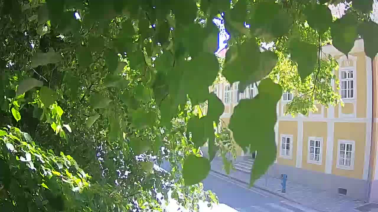 Live Webcam Petrinja Park – nach dem Erdbeben
