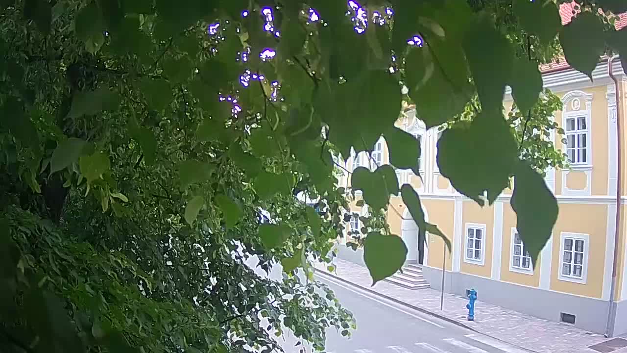 Webcam en direct du parc Petrinja – après le tremblement de terre