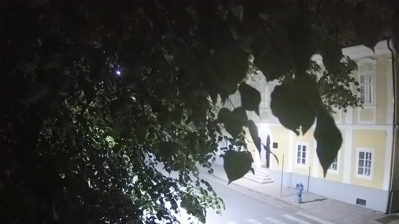 Spletna kamera v živo Petrinja centralni park – po potresu
