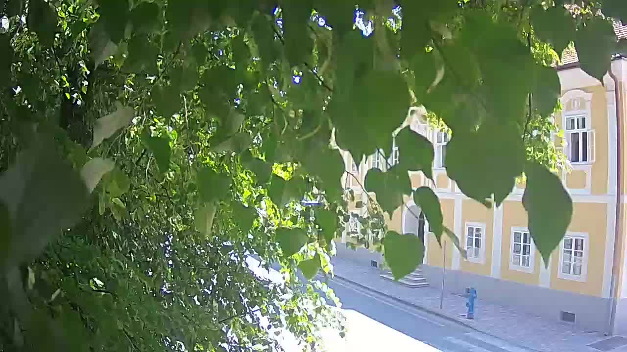 Live webcam Petrinja central park – after the earthquake