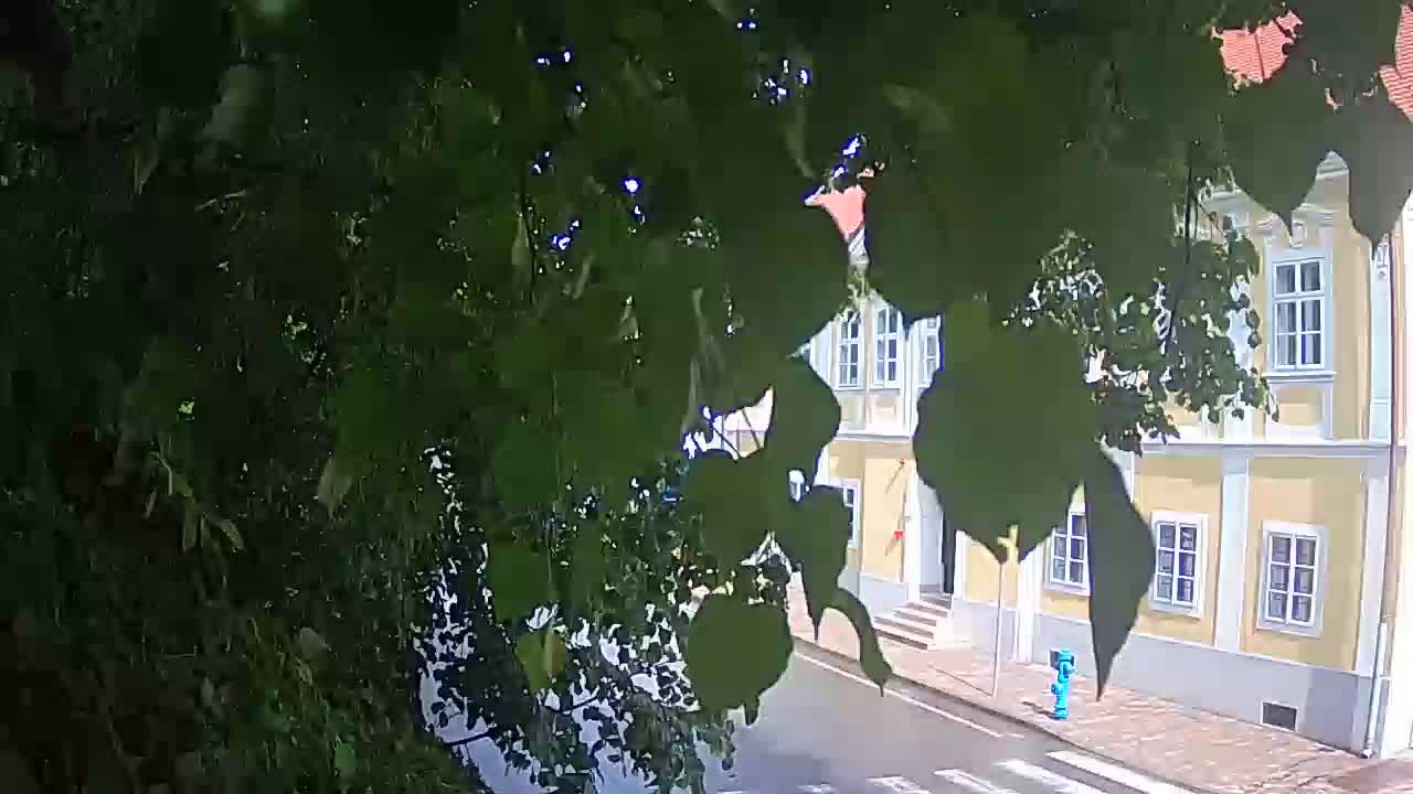 Spletna kamera v živo Petrinja centralni park – po potresu