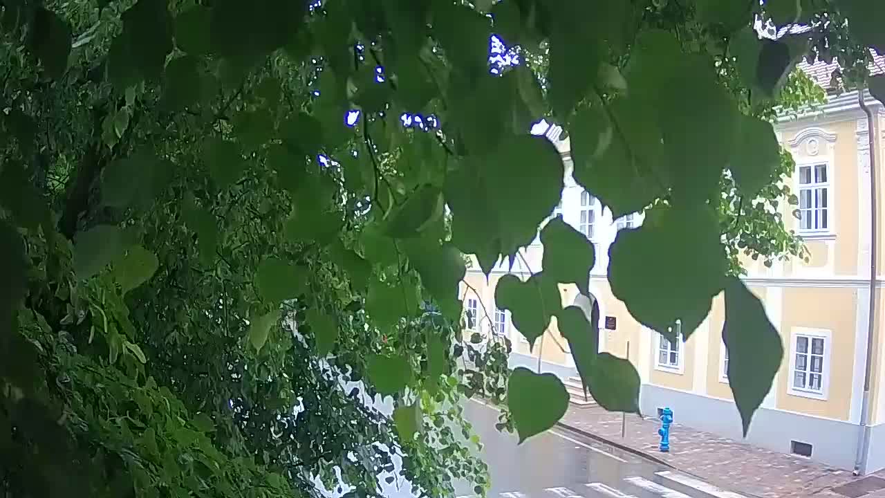 Live webcam parco Petrinja – dopo il terremoto
