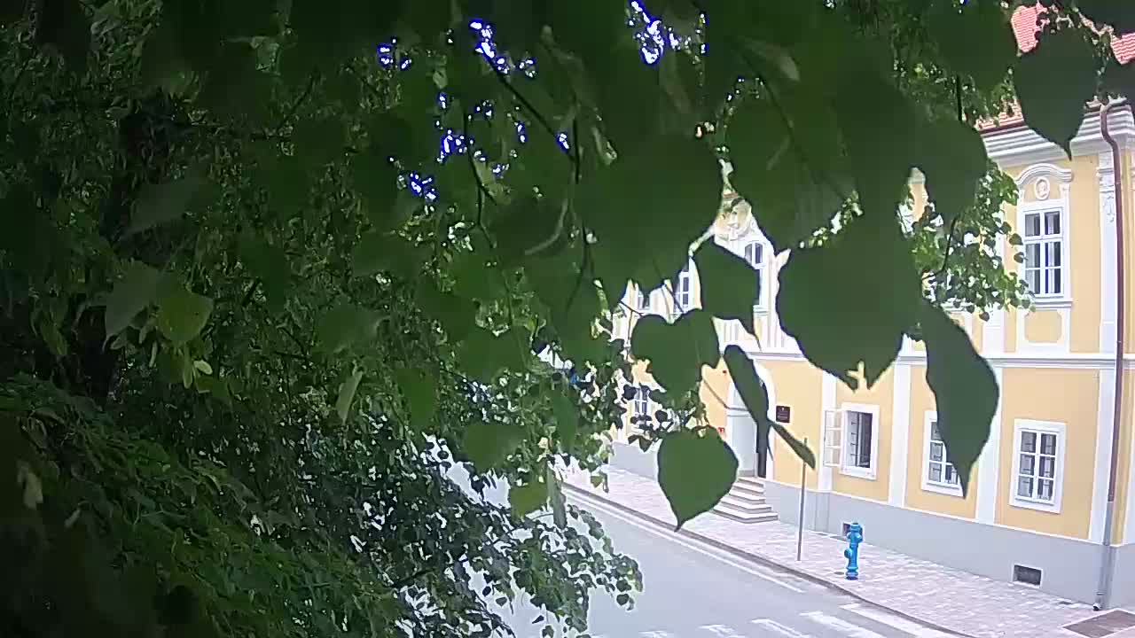 Spletna kamera v živo Petrinja centralni park – po potresu