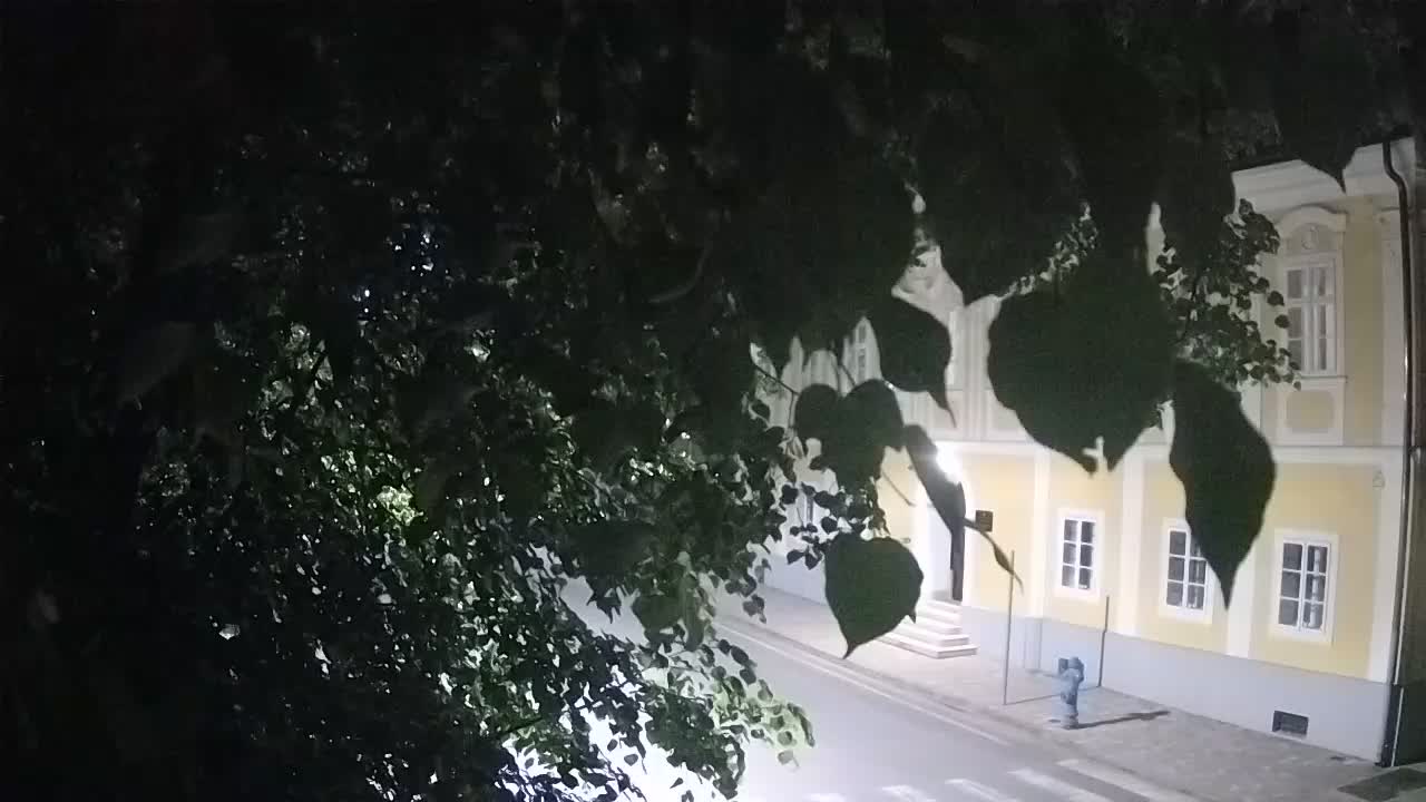 Live webcam parco Petrinja – dopo il terremoto