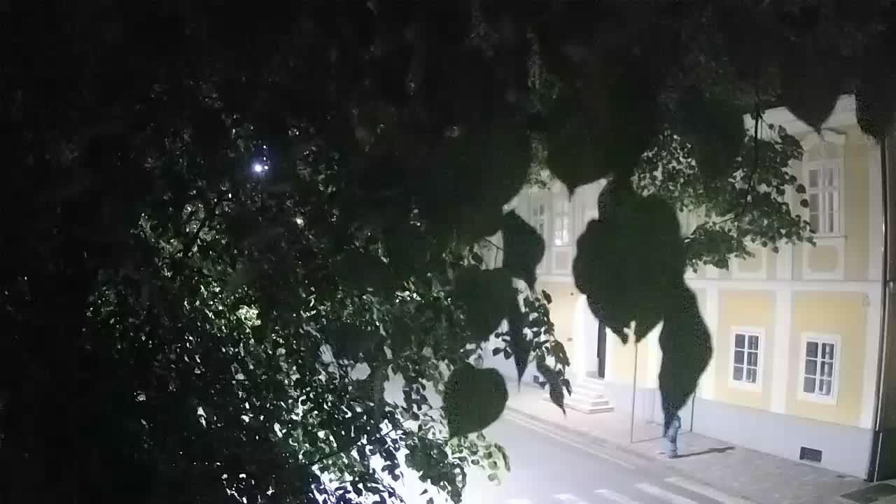 Live webcam Petrinja central park – after the earthquake