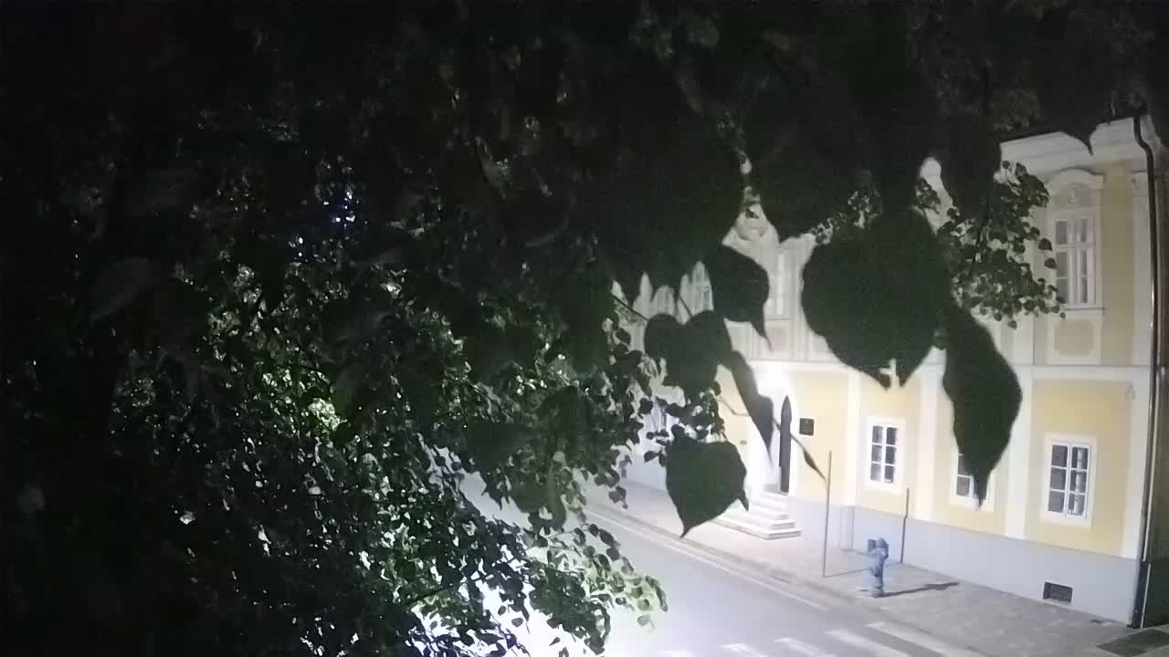 Webcam en vivo parque Petrinja – después del terremoto