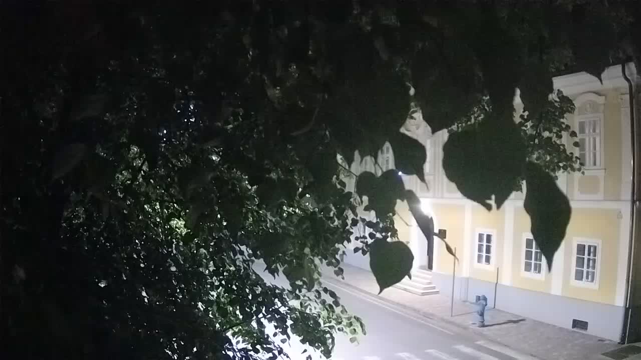 Web kamera uživo Petrinja centralni park – nakon potresa