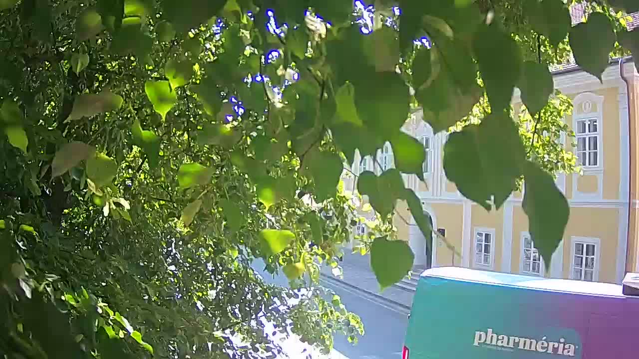 Live webcam Petrinja central park – after the earthquake