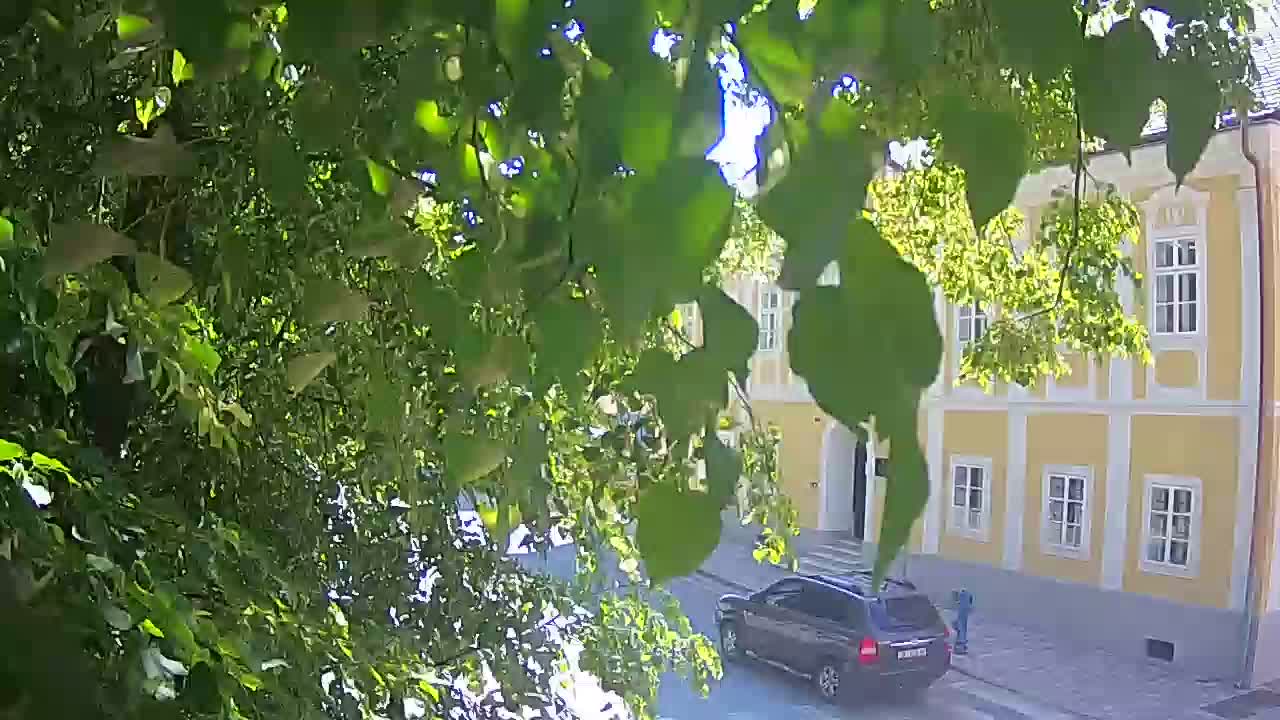 Webcam en vivo parque Petrinja – después del terremoto