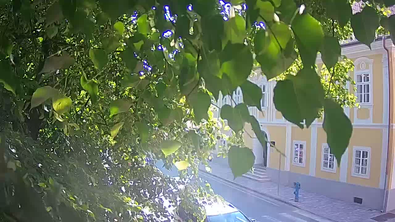 Web kamera uživo Petrinja centralni park – nakon potresa