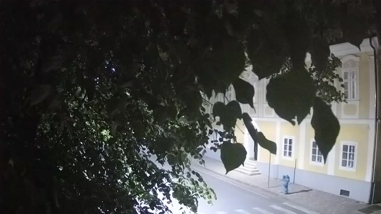Spletna kamera v živo Petrinja centralni park – po potresu