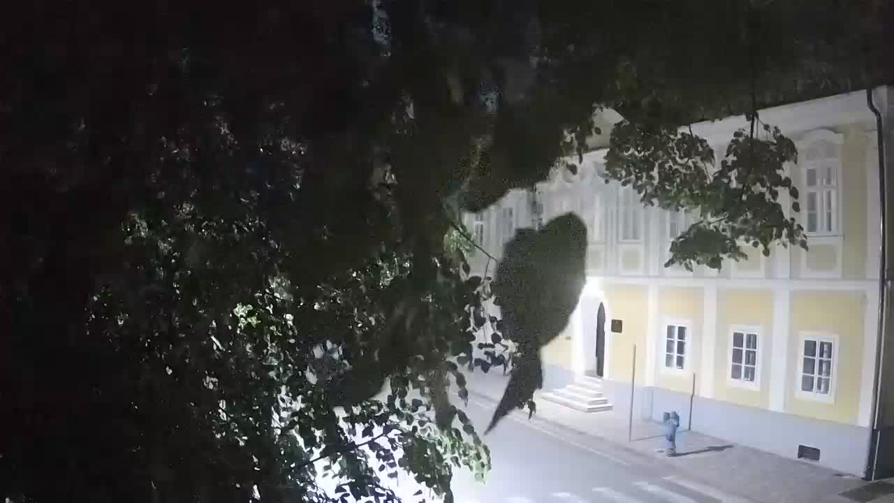 Web kamera uživo Petrinja centralni park – nakon potresa