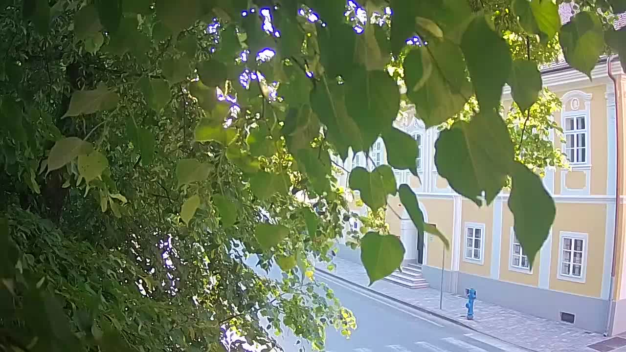 Spletna kamera v živo Petrinja centralni park – po potresu