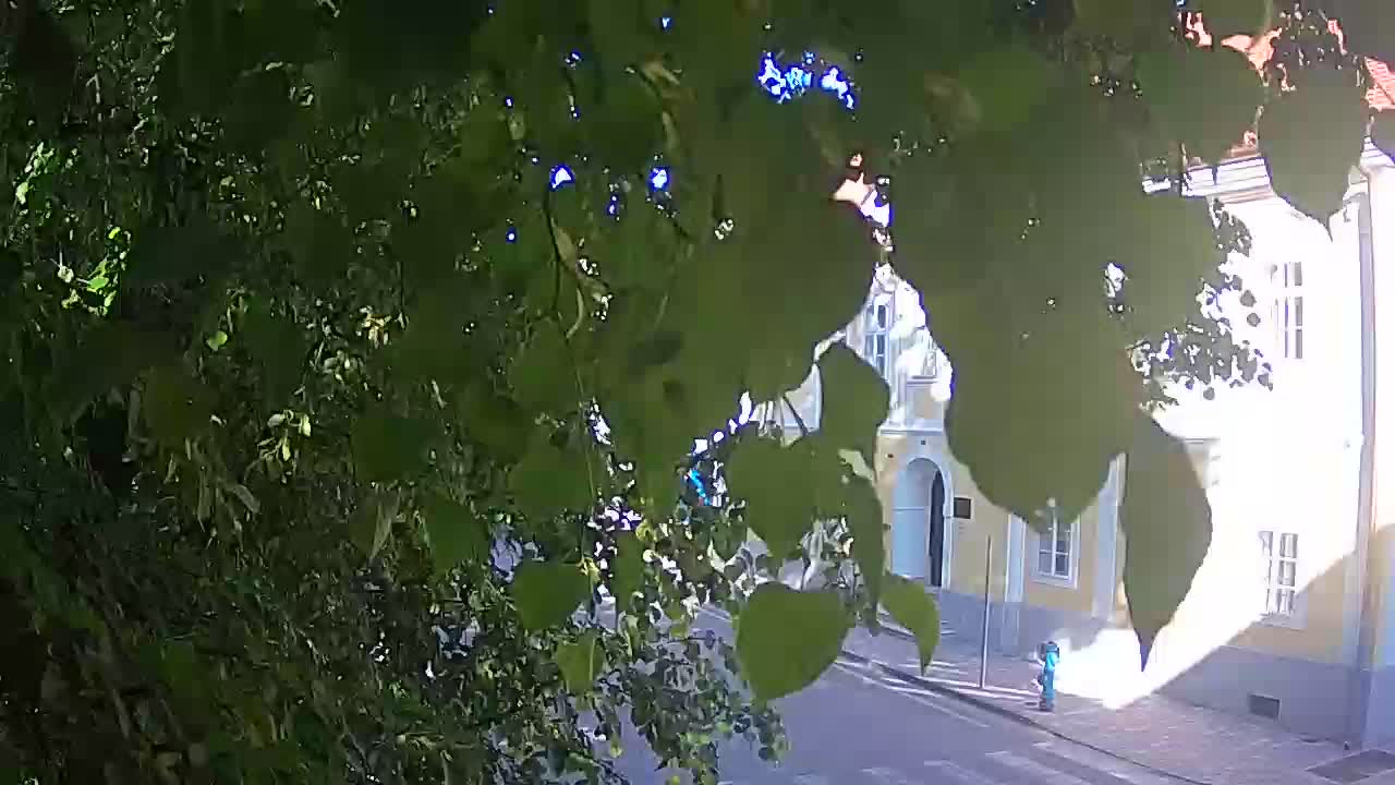 Live webcam parco Petrinja – dopo il terremoto