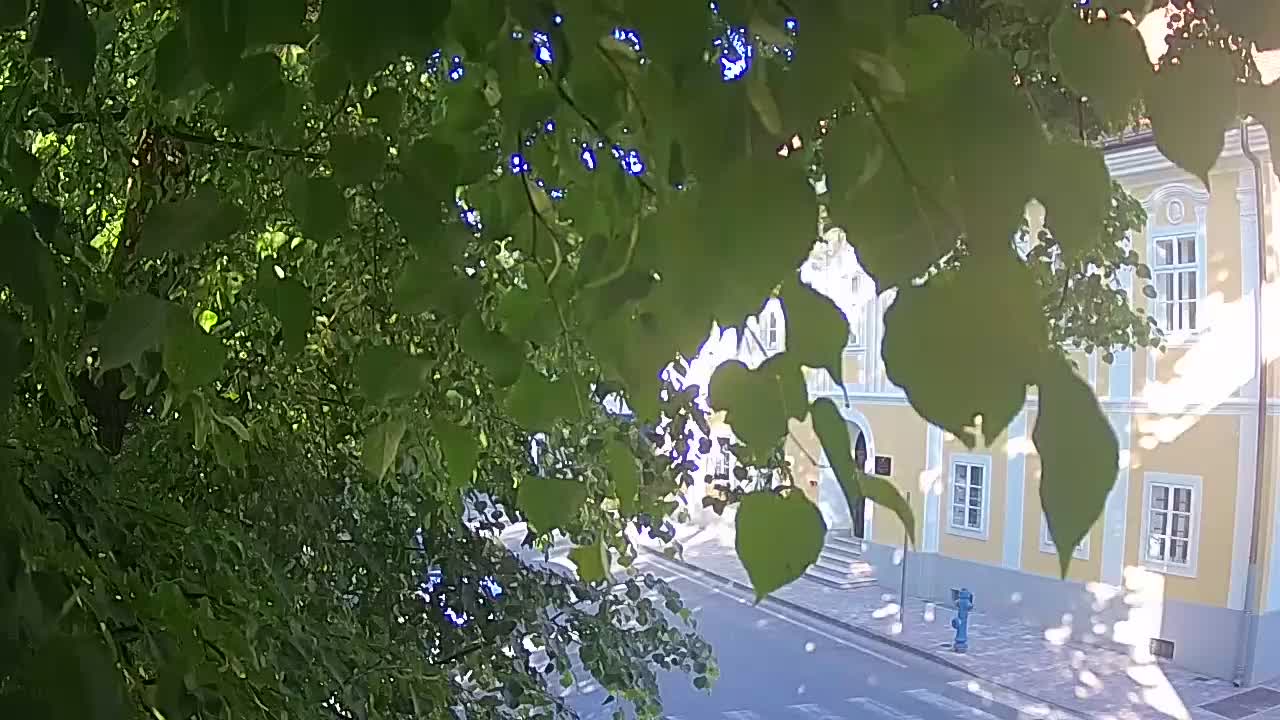 Live webcam Petrinja central park – after the earthquake