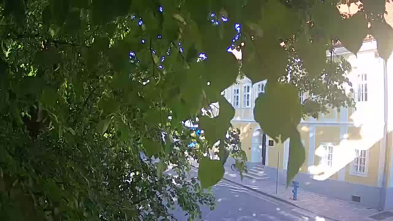 Live Webcam Petrinja Park – nach dem Erdbeben
