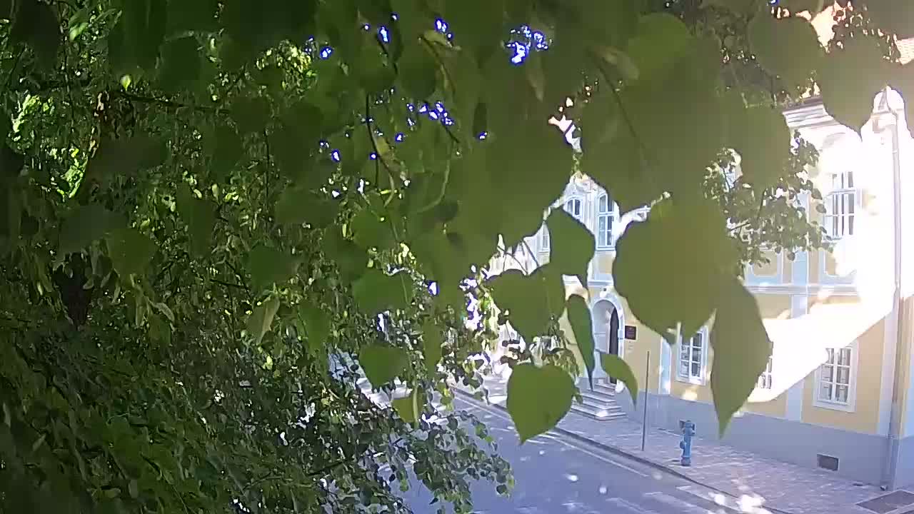 Live webcam Petrinja central park – after the earthquake