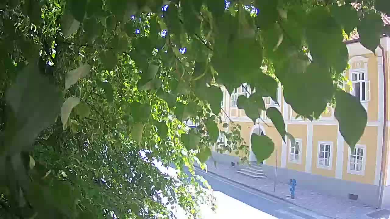 Live Webcam Petrinja Park – nach dem Erdbeben
