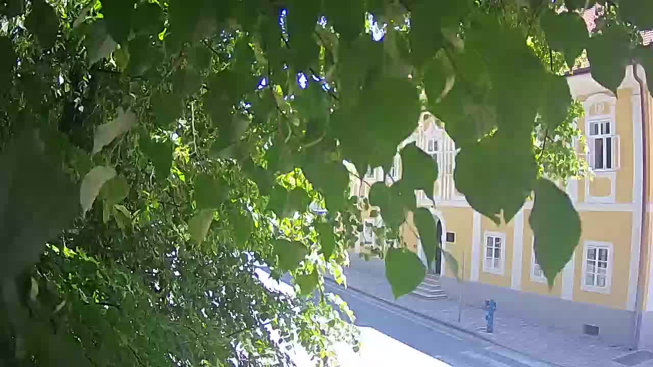 Web kamera uživo Petrinja centralni park – nakon potresa