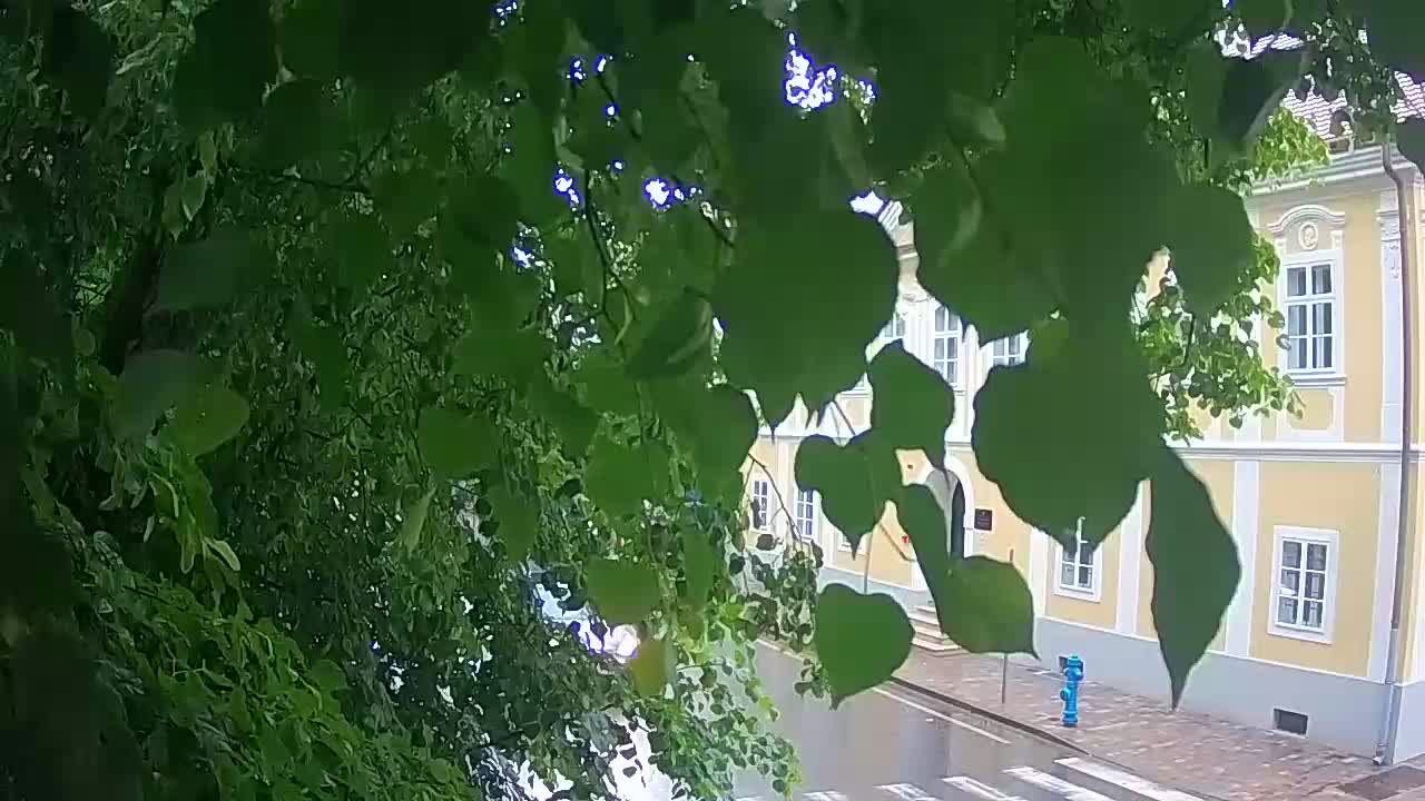 Spletna kamera v živo Petrinja centralni park – po potresu