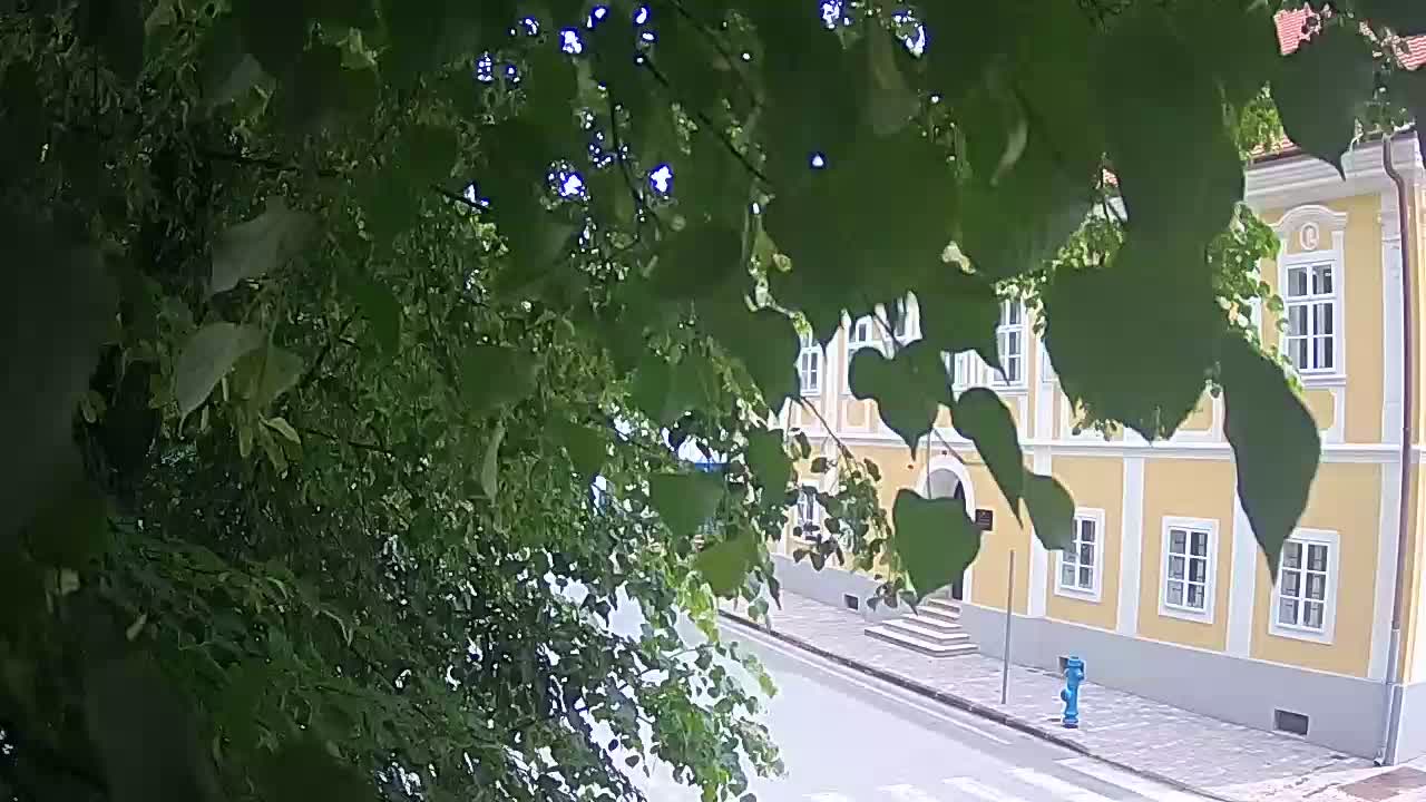 Live webcam parco Petrinja – dopo il terremoto