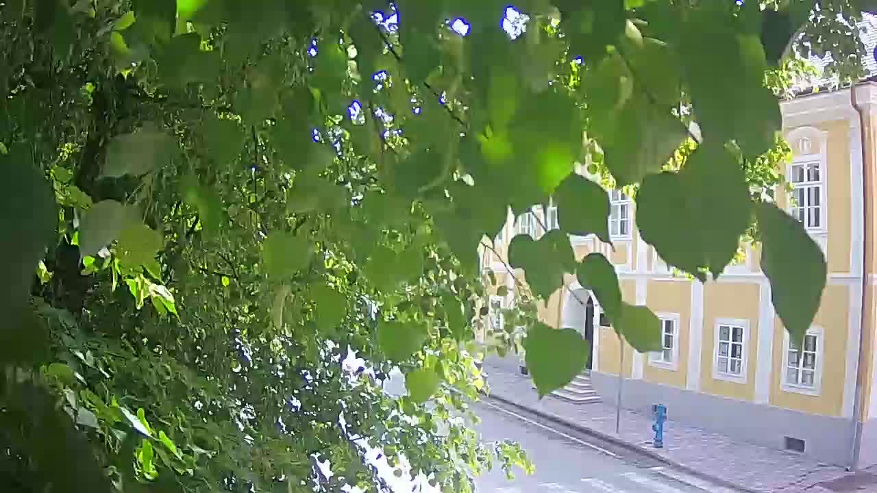 Webcam en vivo parque Petrinja – después del terremoto