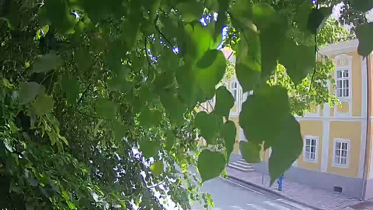 Web kamera uživo Petrinja centralni park – nakon potresa
