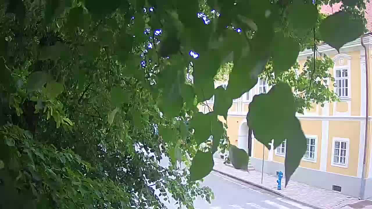 Live webcam parco Petrinja – dopo il terremoto