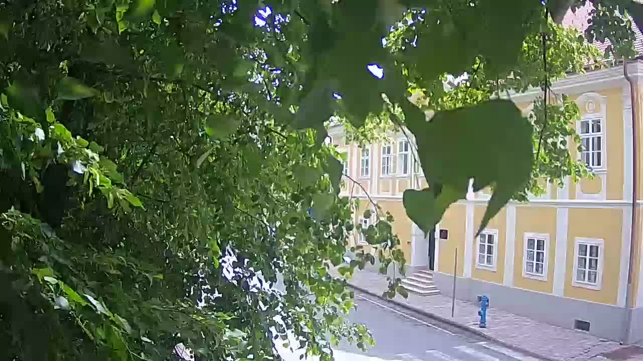 Live webcam Petrinja central park – after the earthquake