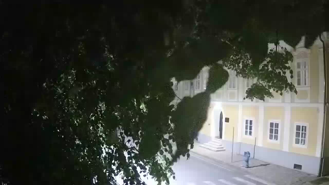 Webcam en direct du parc Petrinja – après le tremblement de terre