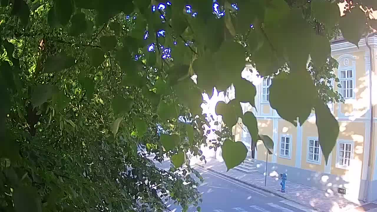 Live webcam parco Petrinja – dopo il terremoto