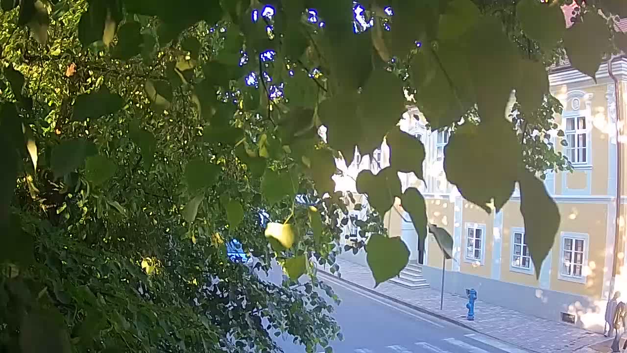 Webcam en vivo parque Petrinja – después del terremoto