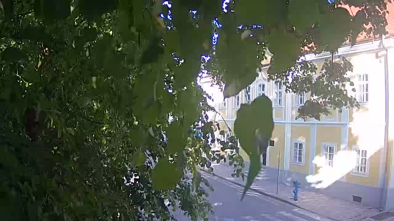 Web kamera uživo Petrinja centralni park – nakon potresa