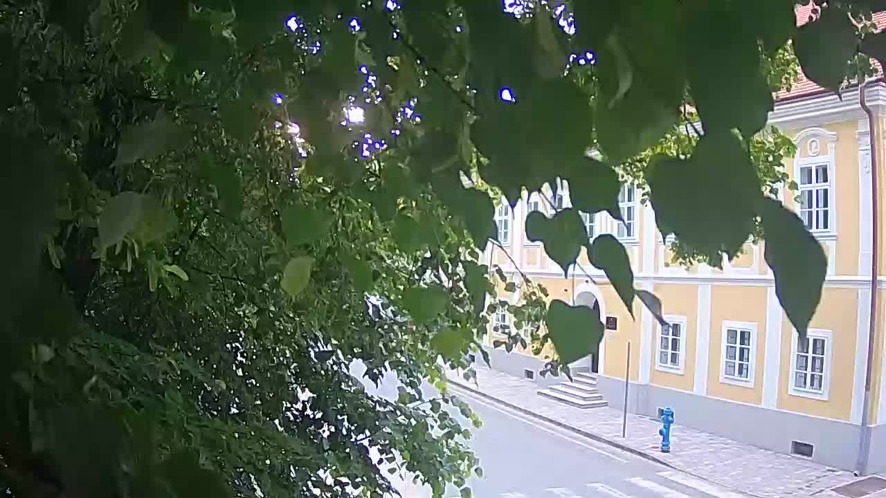 Spletna kamera v živo Petrinja centralni park – po potresu