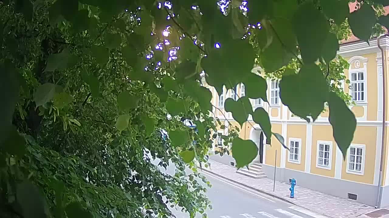 Live webcam parco Petrinja – dopo il terremoto