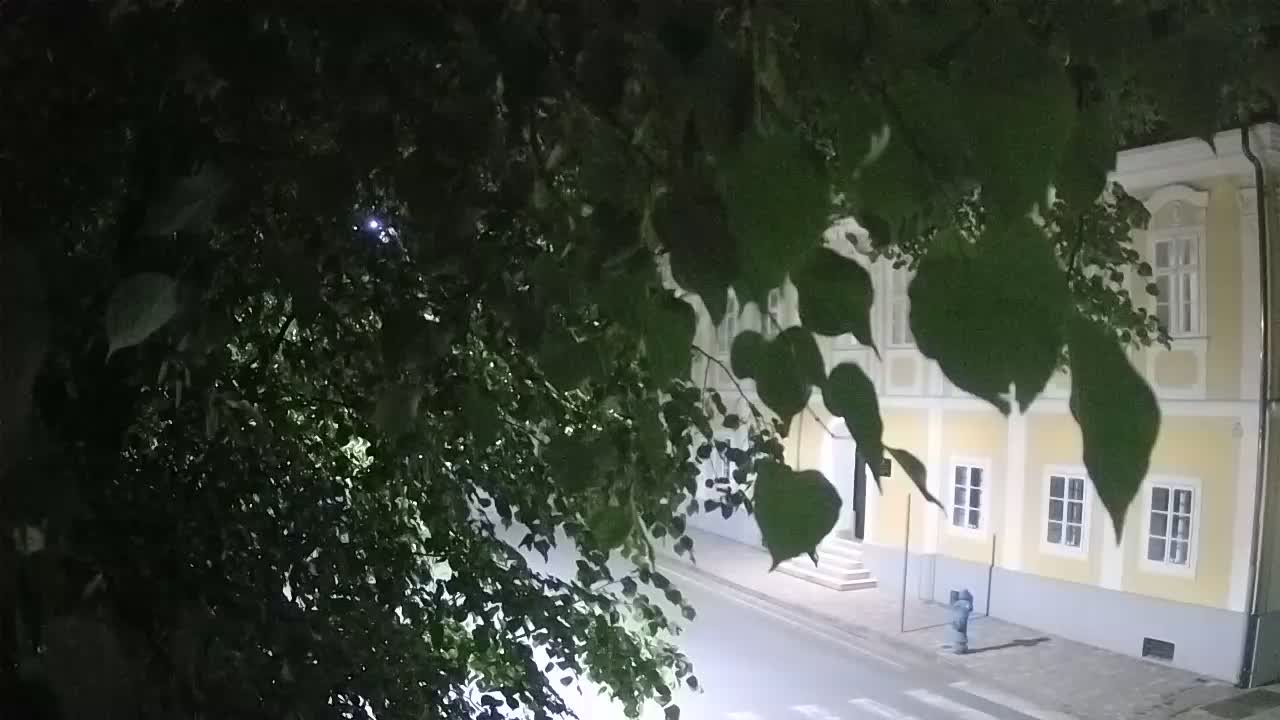 Webcam en direct du parc Petrinja – après le tremblement de terre