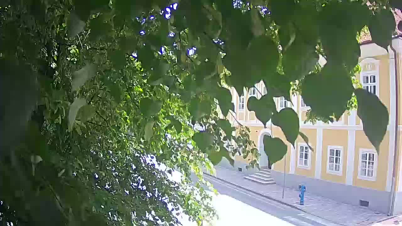 Live webcam parco Petrinja – dopo il terremoto