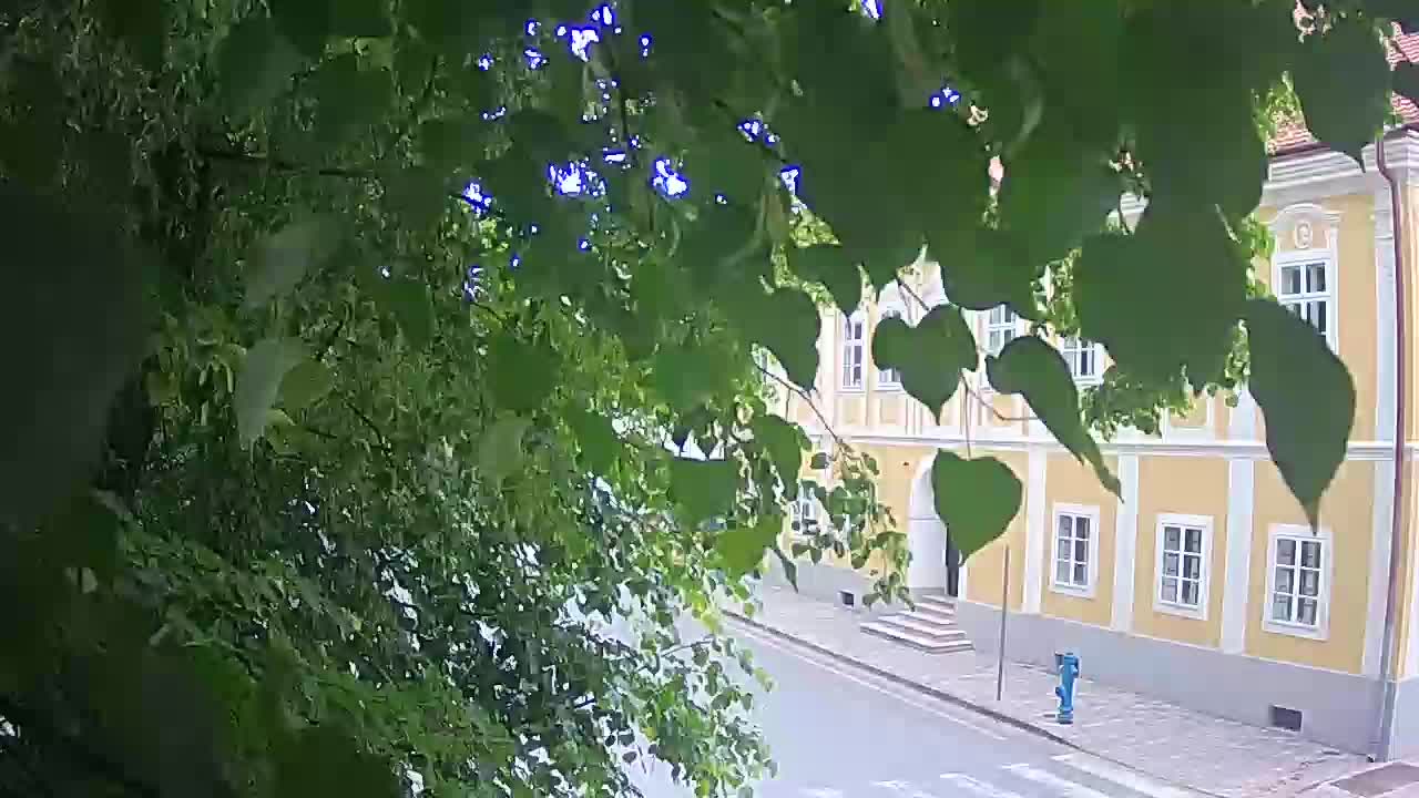 Live Webcam Petrinja Park – nach dem Erdbeben