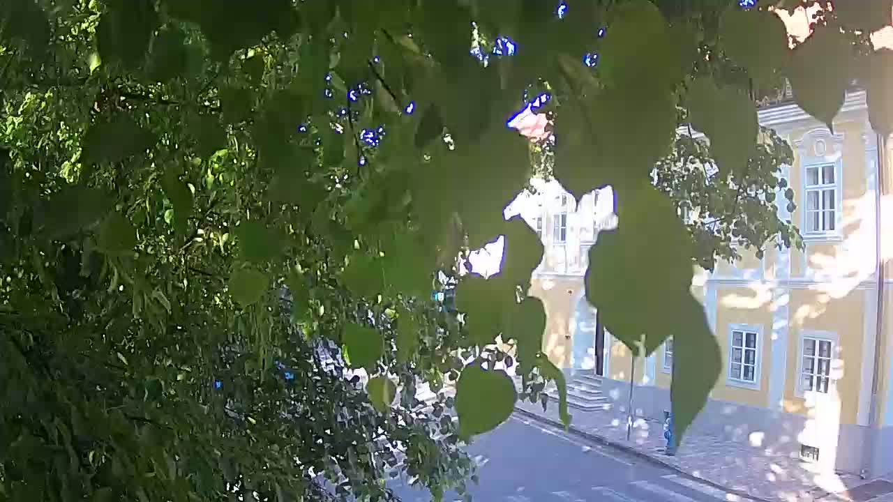 Spletna kamera v živo Petrinja centralni park – po potresu