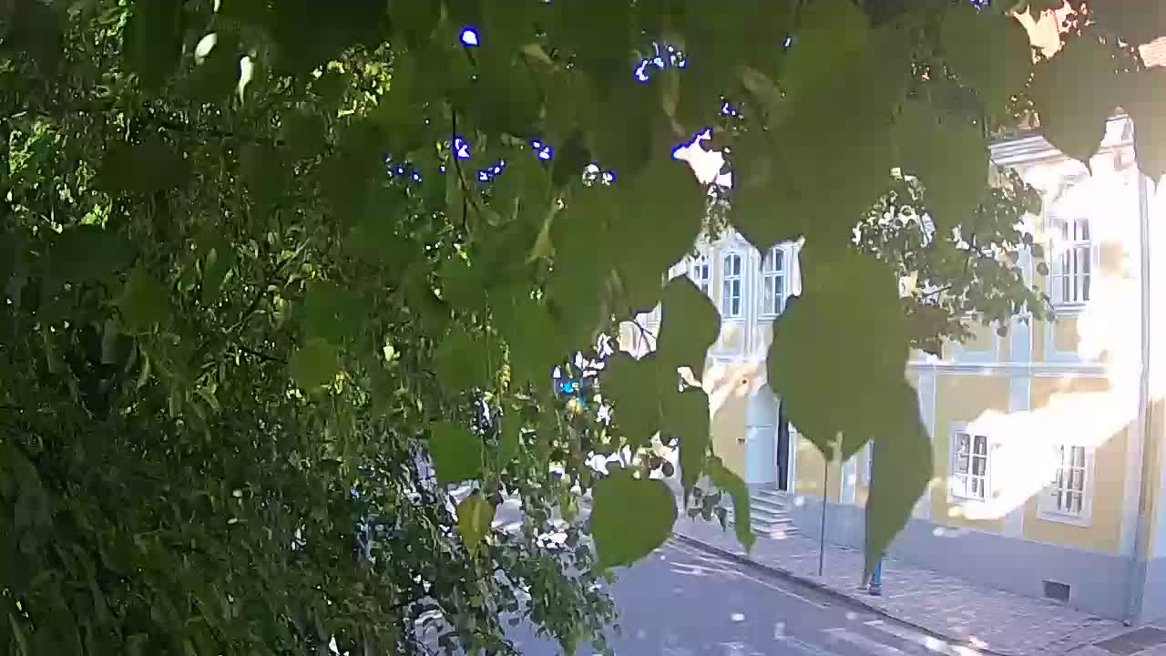 Live webcam Petrinja central park – after the earthquake