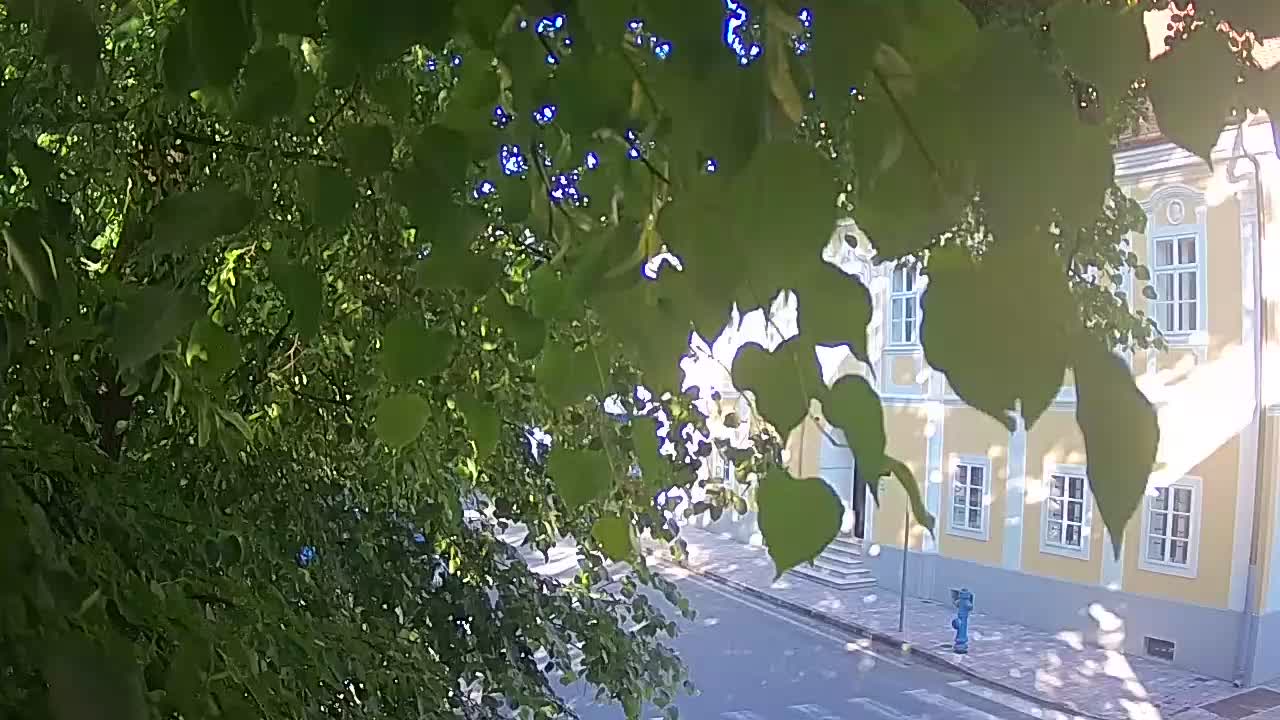 Webcam en vivo parque Petrinja – después del terremoto