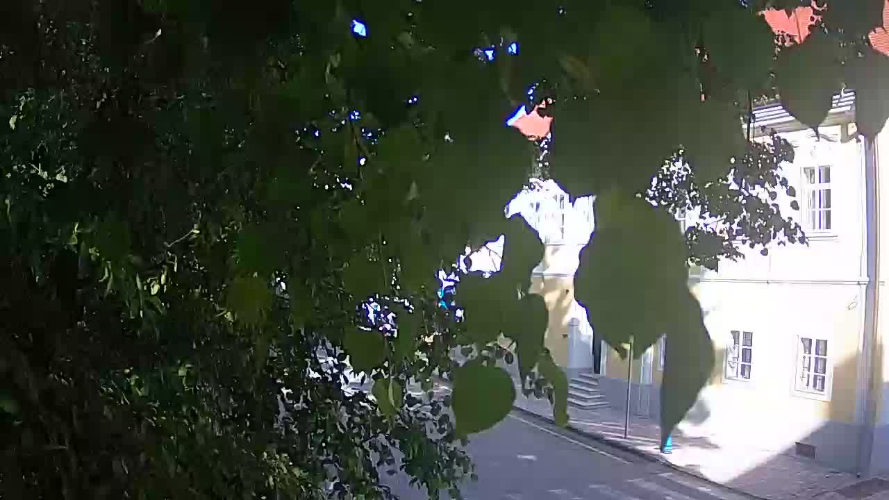 Web kamera uživo Petrinja centralni park – nakon potresa
