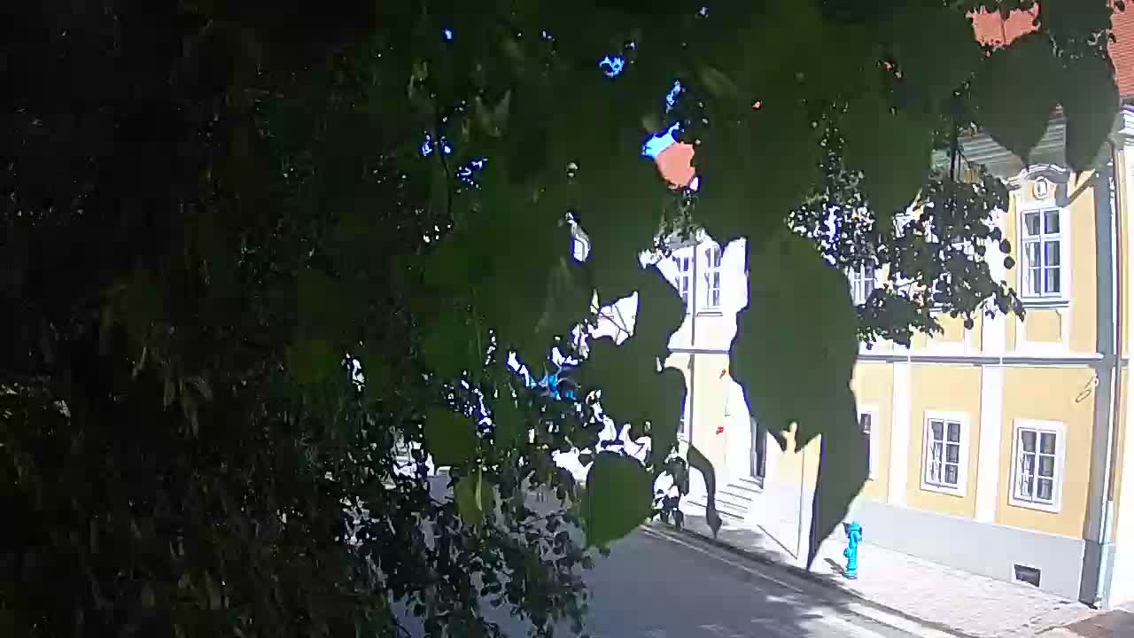 Live webcam parco Petrinja – dopo il terremoto